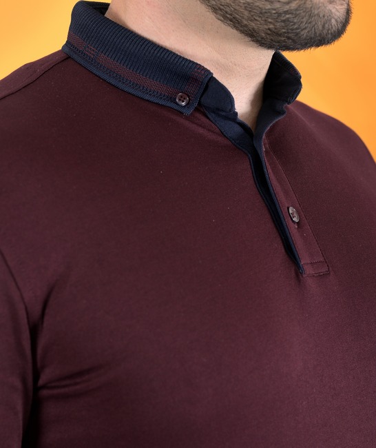 Мъжка тениска с яка с бродирано лого цвят бордо