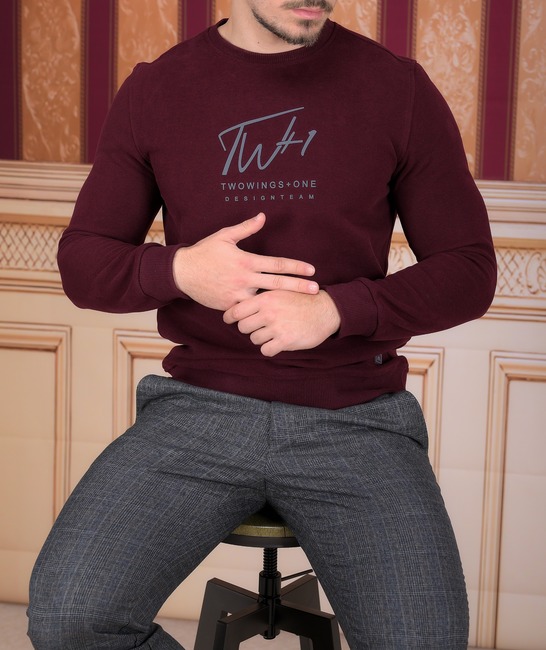 Мъжка блуза TW Plus цвят бордо