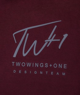 Мъжка блуза TW Plus цвят бордо