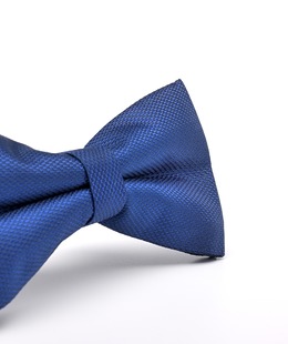 Класическа елегантна мъжка папионка в тъмно синьо