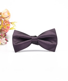 Двупластова мъжка стилна папионка в тъмно лилаво