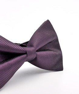 Двупластова мъжка стилна папионка в тъмно лилаво