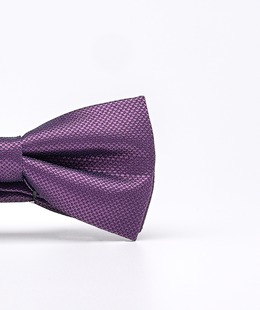 Виолетова класическа двупластова мъжка папионка