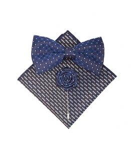 Стилен сет от три части с папионка игла и кърпичка мъжки