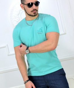 Изискана мъжка тениска с къс ръкав в цвят минт